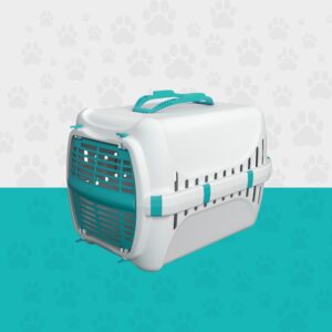 Petbox Kedi Taşıma Çantası Yeşil Şeritli Beyaz Renk