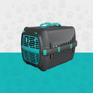 Petbox Kedi Taşıma Çantası Yeşil Şeritli Siyah Renk